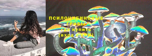 ешки Армянск
